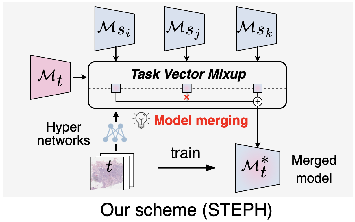 2026-cvpr-steph.png